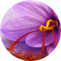 Round Logo 125