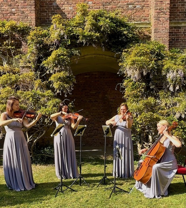 sussex-downs-strings